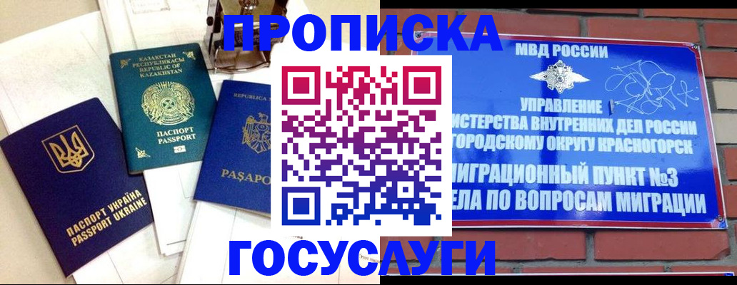 купить прописку в Сольцах